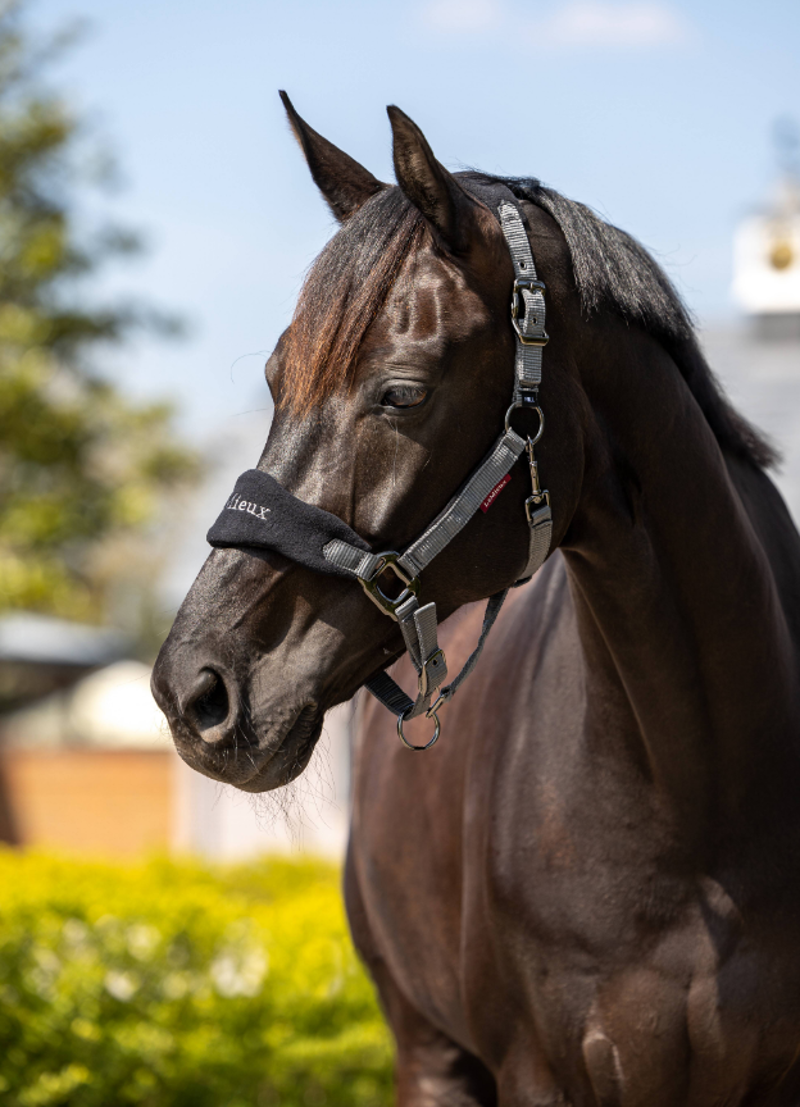 LeMieux Vogue Fleece Headcollar and Rope - Black-1